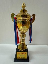 2026『功夫寶貝』武術網络大賽-集體舞獅-金獎(獎杯)